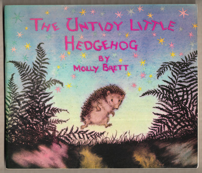 The Untidy Little Hedgehog