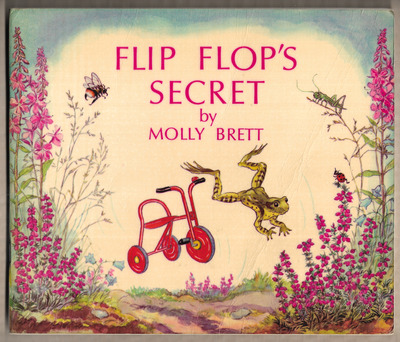 Flip Flop's Secret