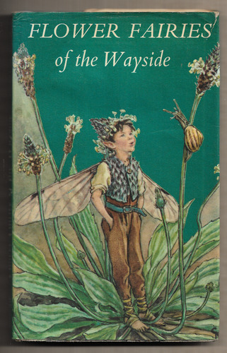 Flower Fairies of the Wayside