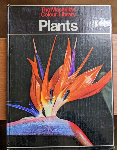 Plants