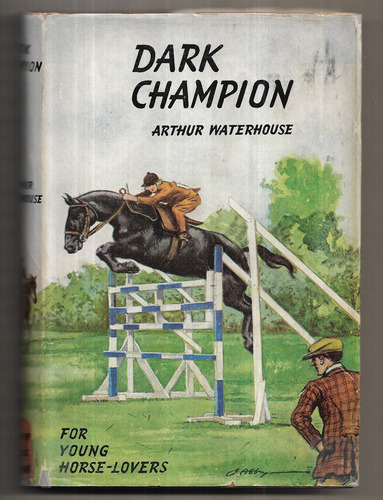Dark Champion
