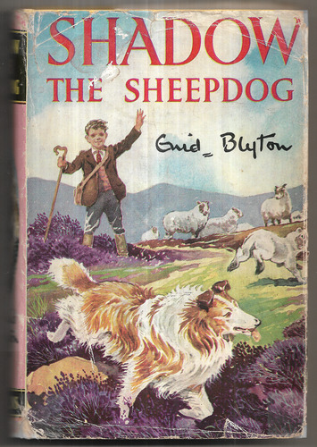 Shadow the Sheep Dog